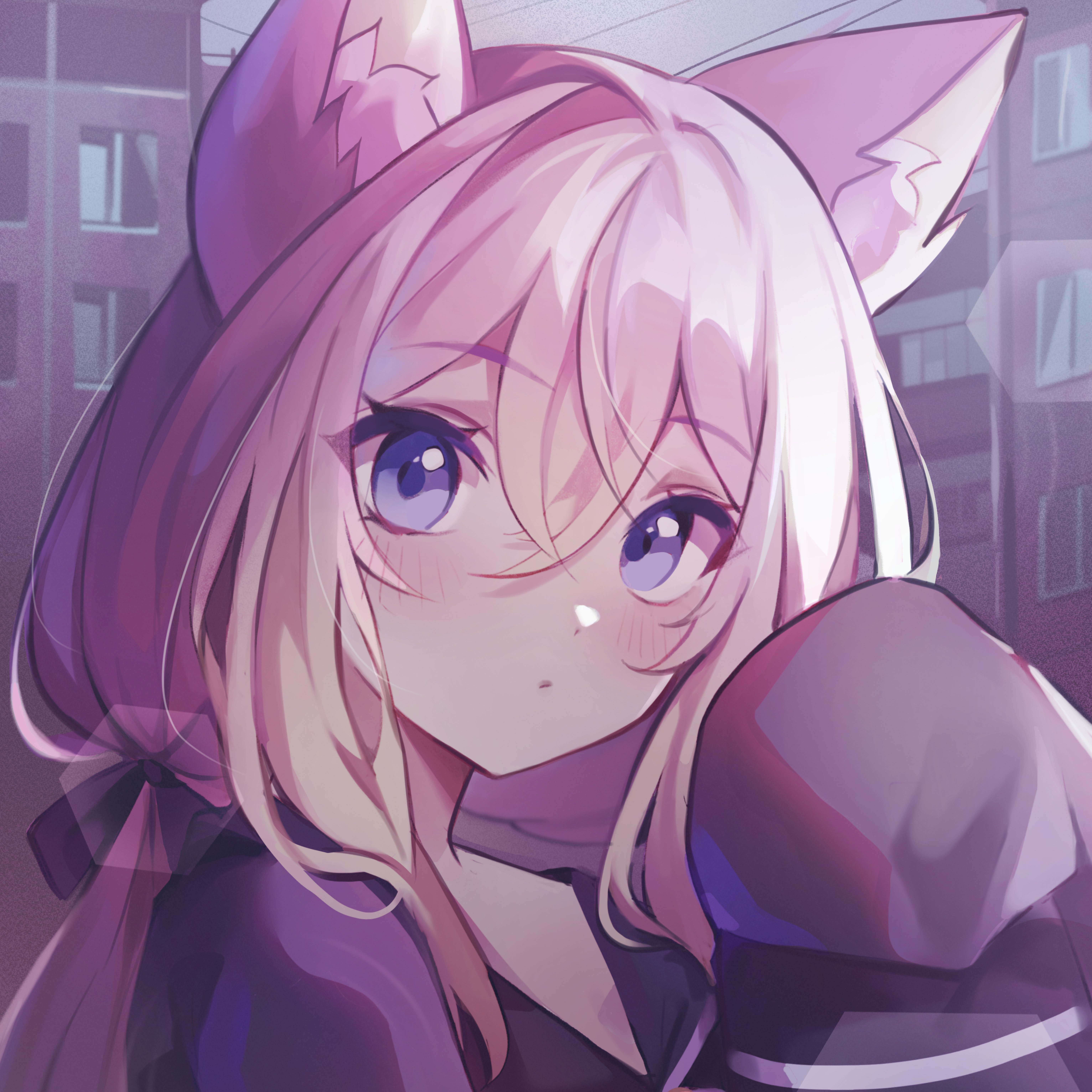 FeliXKohai