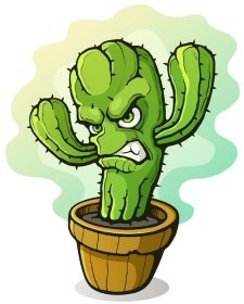 Furious_Cactus