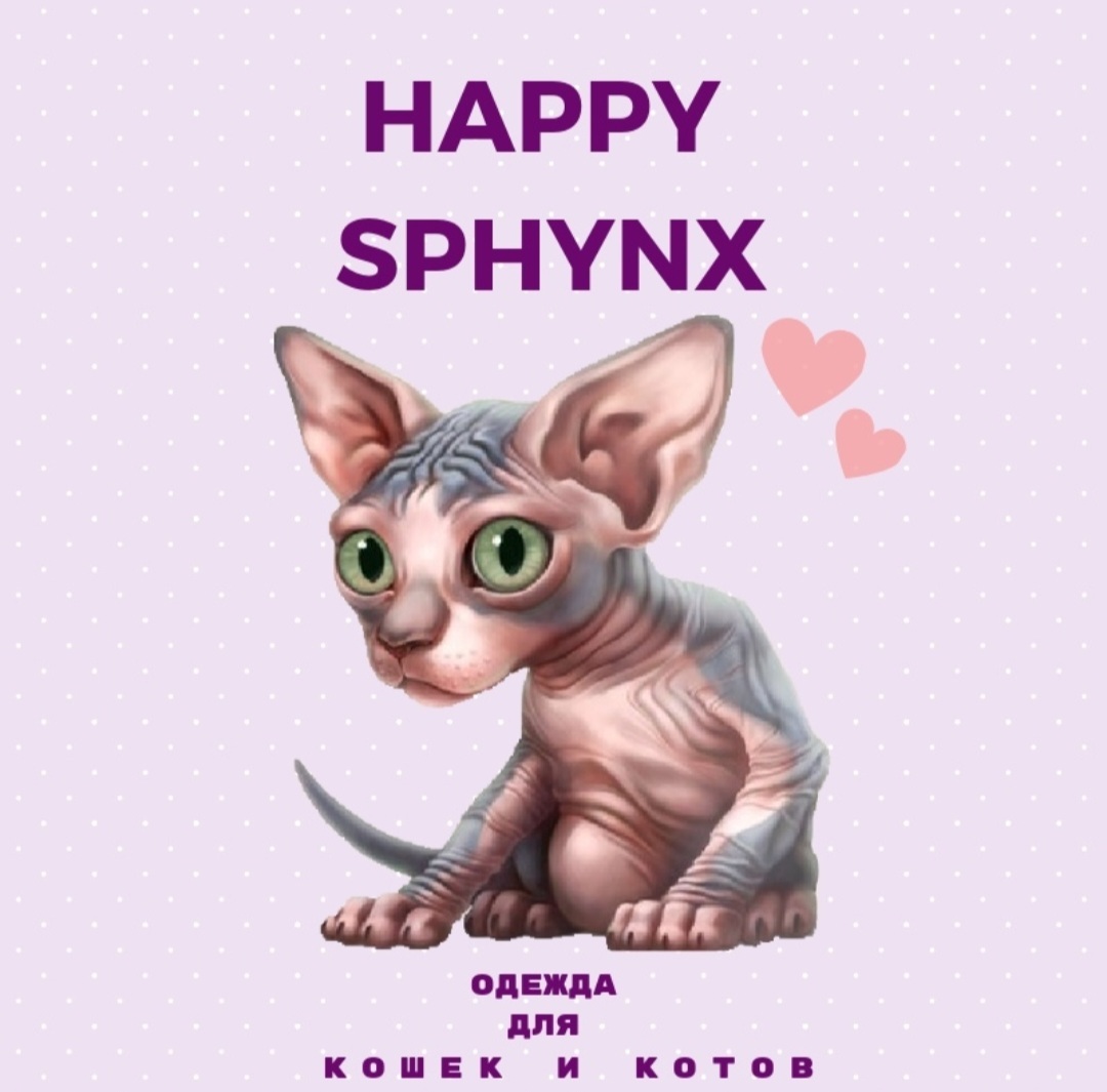 Happy-Sphynx