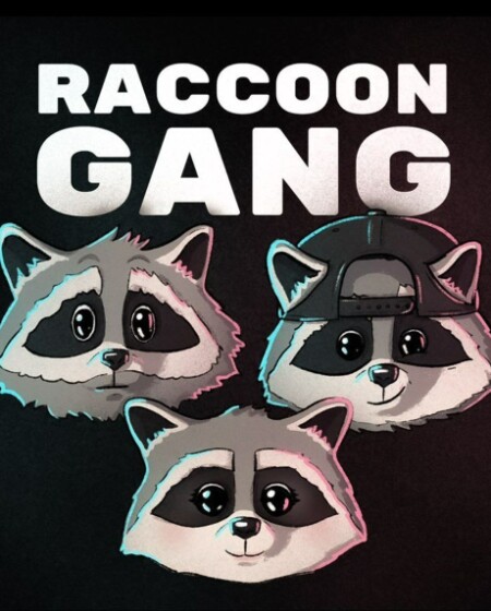 Raccoon Gang