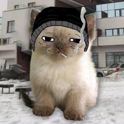 Никита Мергасов