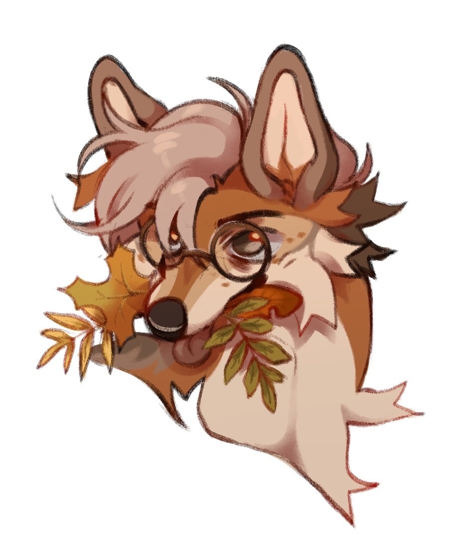 NorikoWolf