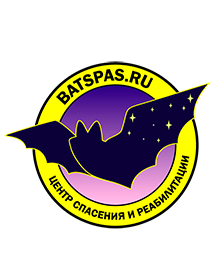 batspas.ru